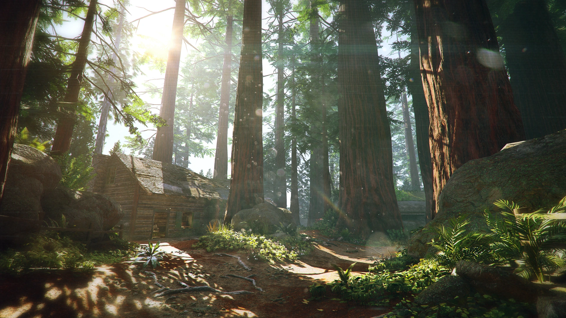 Black Ops 6 core loop in Black Ops 6 — Black Ops 6 screenshot