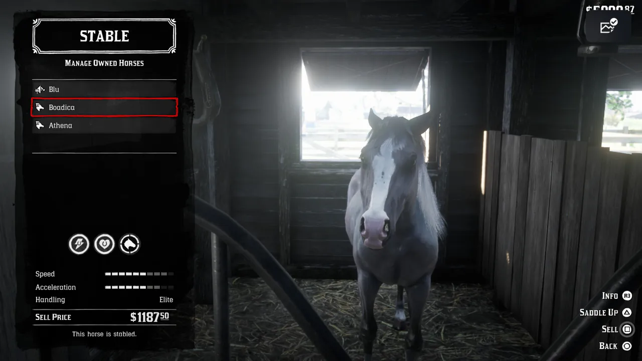 (PC/PS4/PS5) Red Dead Redemption 2: Story Campaign Modded Save — 99 Gold Bars ($49,500), Everything Obtained, Game Start – image 6