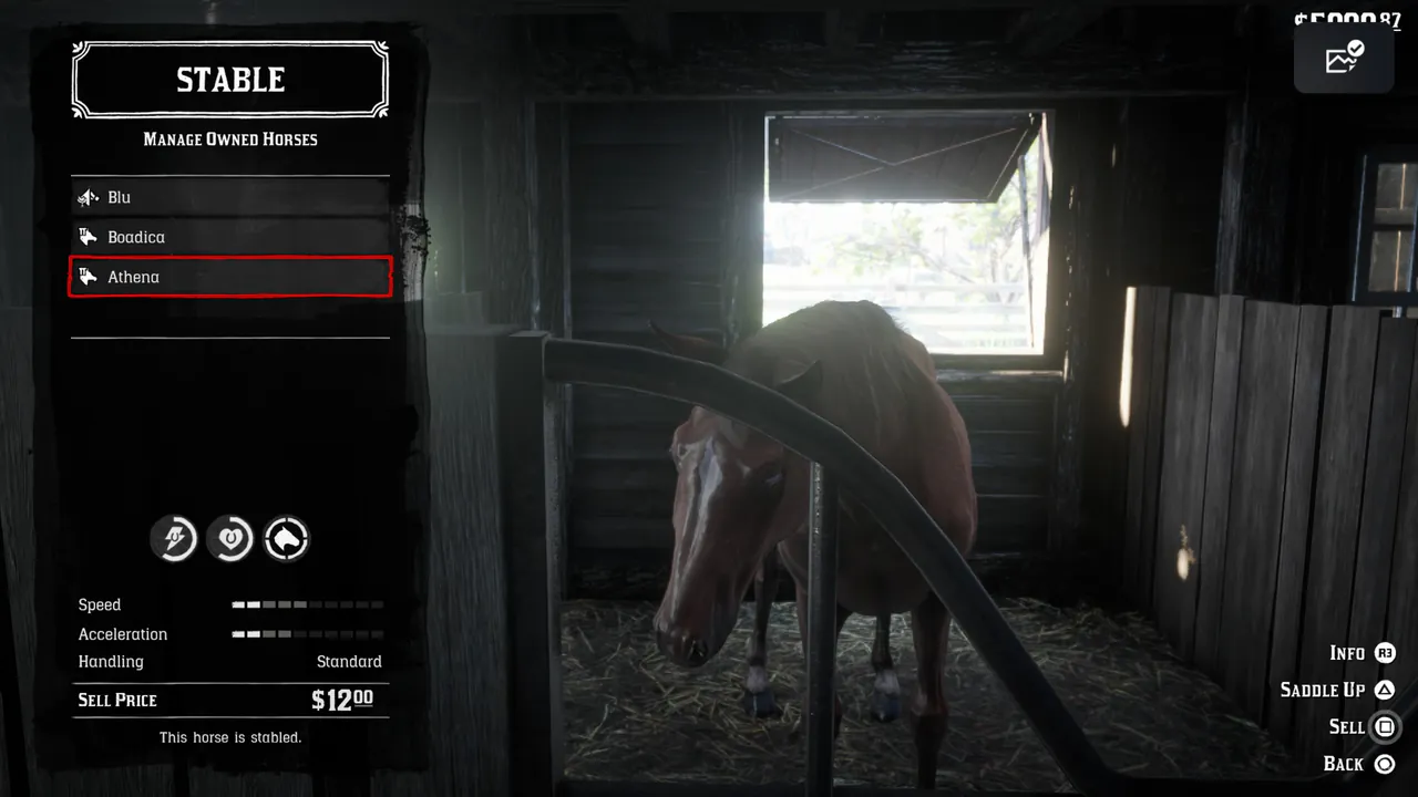 (PC/PS4/PS5) Red Dead Redemption 2: Story Campaign Modded Save — 99 Gold Bars ($49,500), Everything Obtained, Game Start – image 7