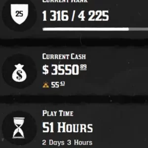 (PS/XBOX) Red Dead Redemption 2 Modded Account Pre-Made Rank 25 3500 Cash + 55 Gold Bars