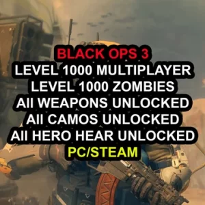 Level 1000 Multiplayer + Level 1000 Zombies + All Weapons Unlocked + All Camos Unlocked + All Hero Gear Unlocked (PC/Steam)