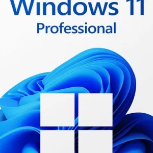 Windows 11 Professional