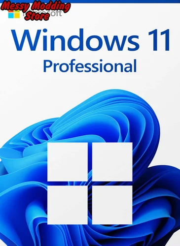 Windows 11 Professional