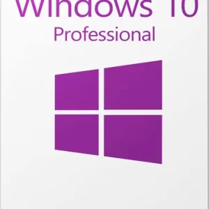 Windows 10 Professional