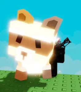 Radiant Raccoon for Sale – Grow a Garden